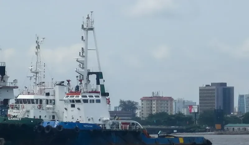 BATTLEAXE General Cargo IMO 7636913