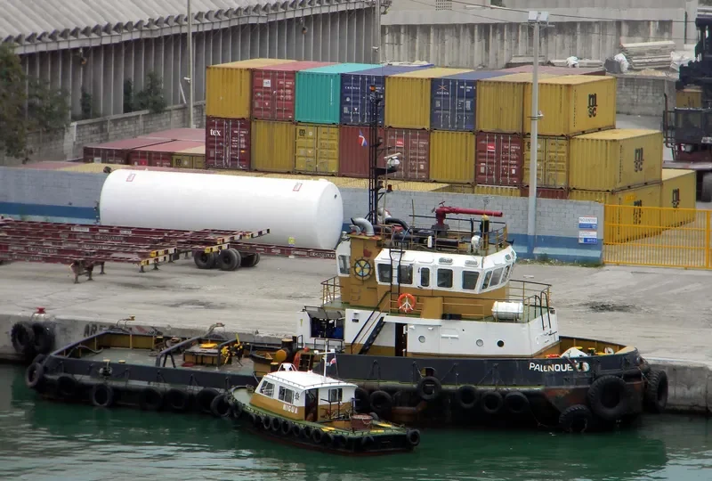 PALENQUE Tug Boat IMO 7637072 photo 2
