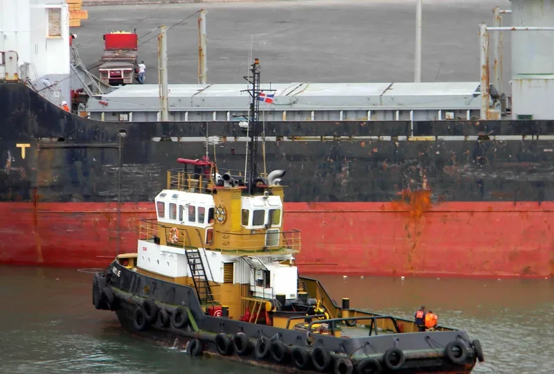 PALENQUE Tug Boat IMO 7637072 photo 5