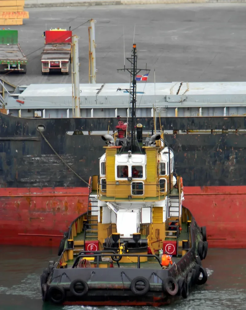 PALENQUE Tug Boat IMO 7637072 photo 6