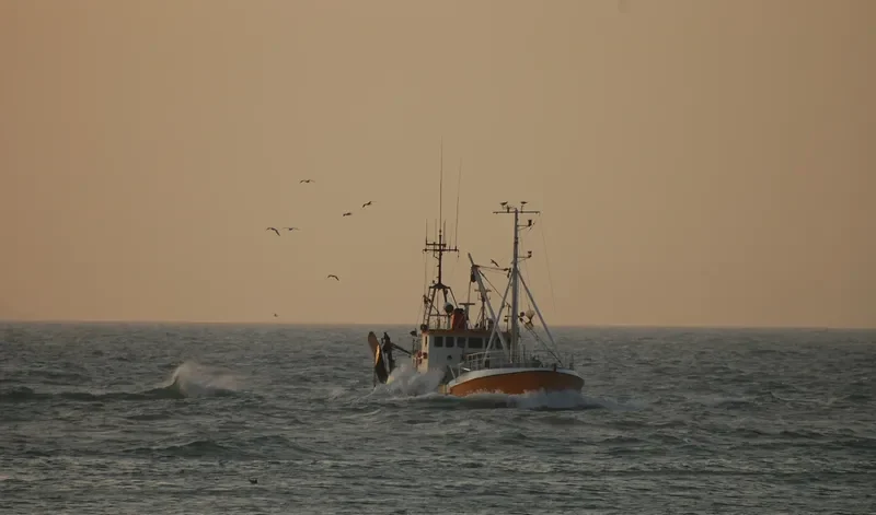 MILTON Fishing Vessel IMO 7637292 photo 7