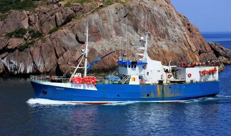 SIKUVUT General Cargo IMO 7637436