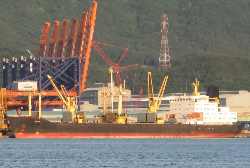 WINNER II Ro-Ro IMO 7637814 photo 2