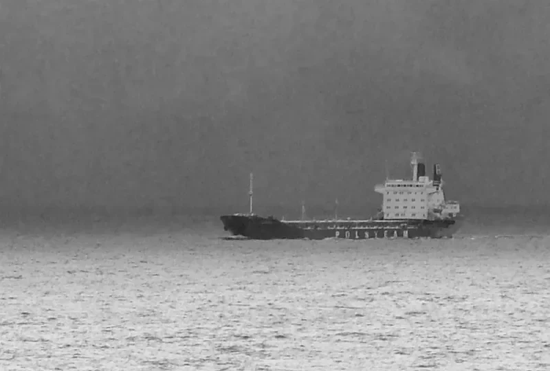 WALKA MLODYCH Bulk Carrier IMO 7637967
