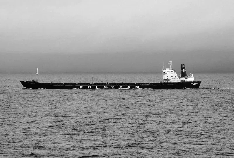 WALKA MLODYCH Bulk Carrier IMO 7637967 photo 2