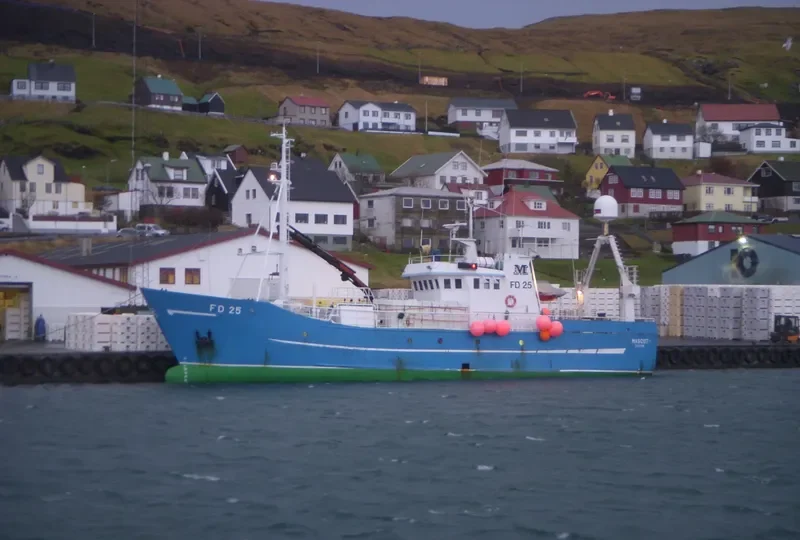 BORDOYARNES General Cargo IMO 7637979 photo 2
