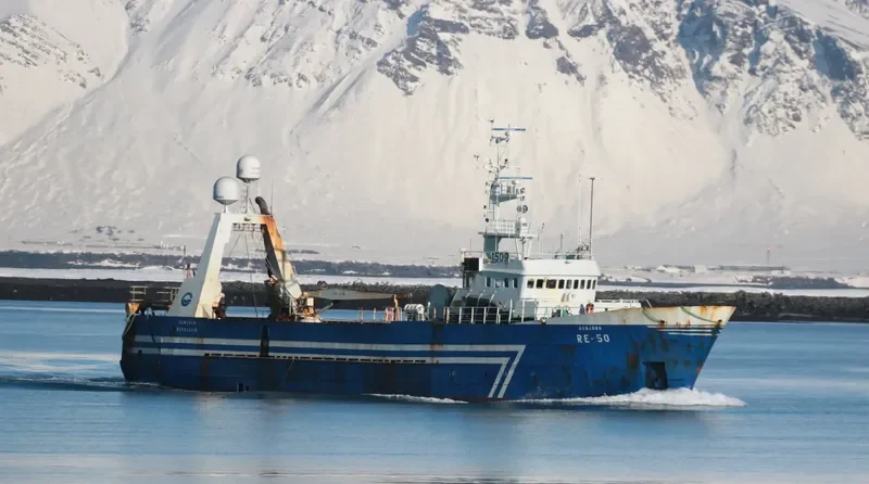 NAMI General Cargo IMO 7638387 photo 6