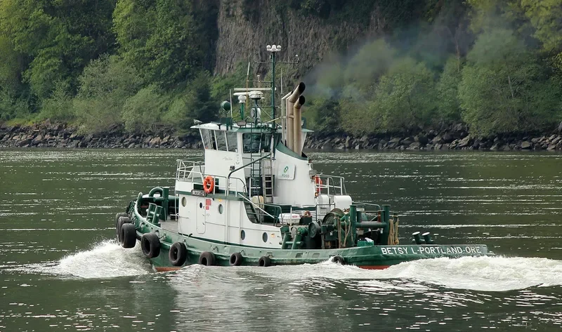 DANIEL FOSS General Cargo IMO 7638454 photo 3
