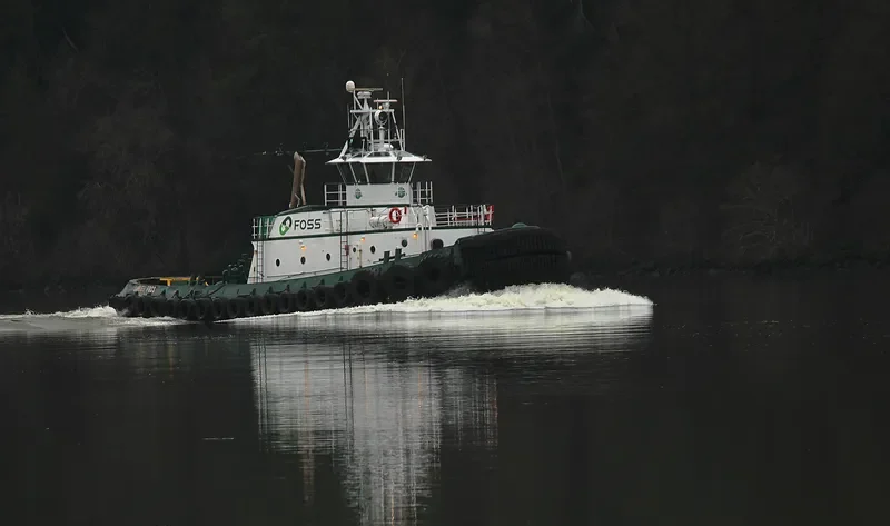 DANIEL FOSS General Cargo IMO 7638454 photo 7
