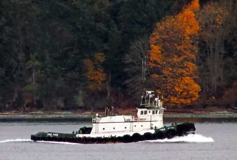 IVER FOSS Tug Boat IMO 7638478 photo 6