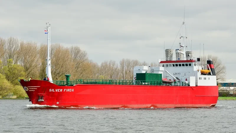 SILVER FIRDA General Cargo IMO 7638519 photo 8