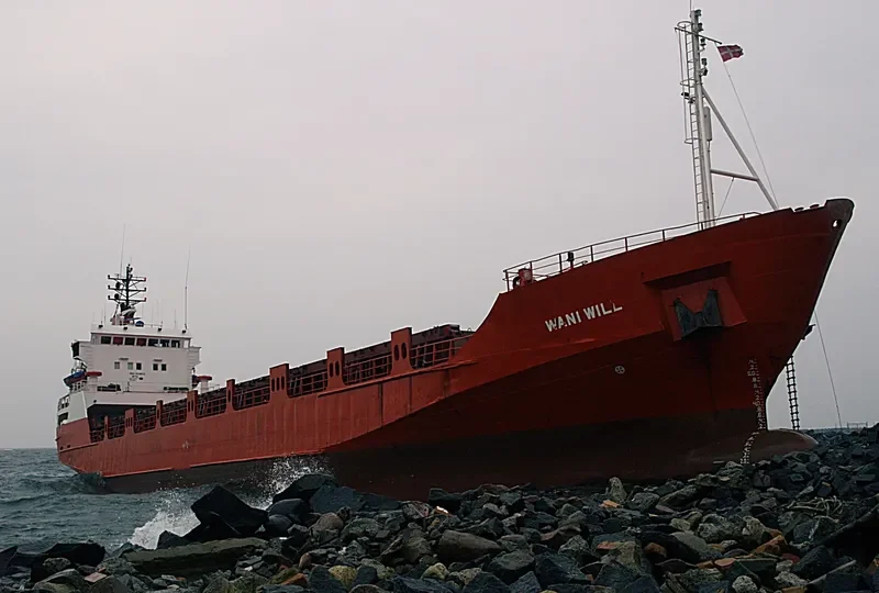 WANI WILL General Cargo IMO 7638521 photo 2
