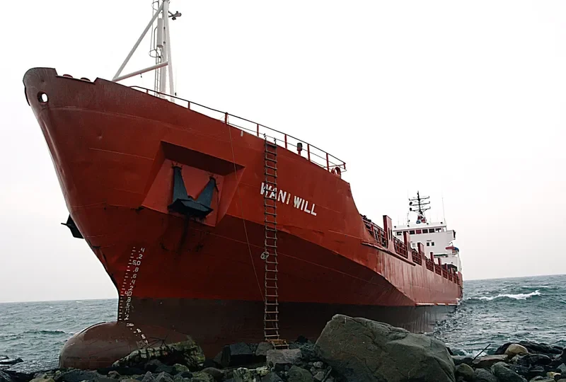 WANI WILL General Cargo IMO 7638521 photo 3