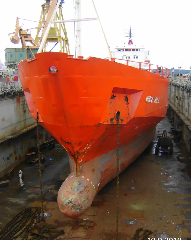 WANI WILL General Cargo IMO 7638521 photo 6