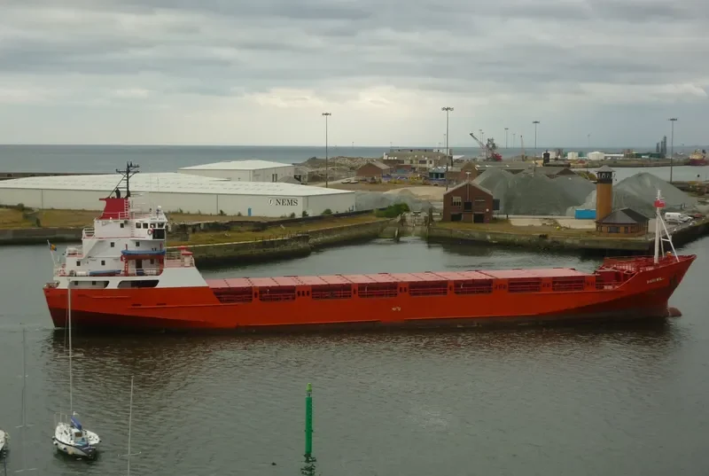WANI WILL General Cargo IMO 7638521 photo 8