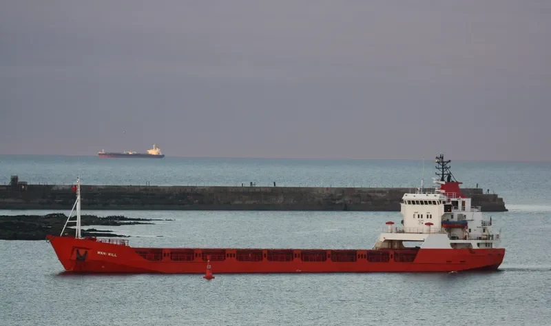 WANI WILL General Cargo IMO 7638521 photo 9