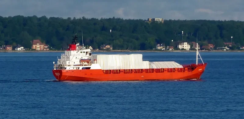 WANI WILL General Cargo IMO 7638521 photo 10