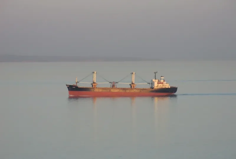 TOLEDO Bulk Carrier IMO 7638557 photo 2