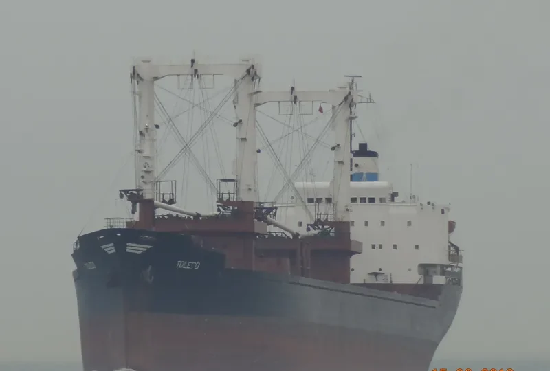 TOLEDO Bulk Carrier IMO 7638557 photo 3