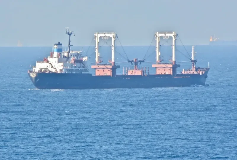 TOLEDO Bulk Carrier IMO 7638557 photo 4