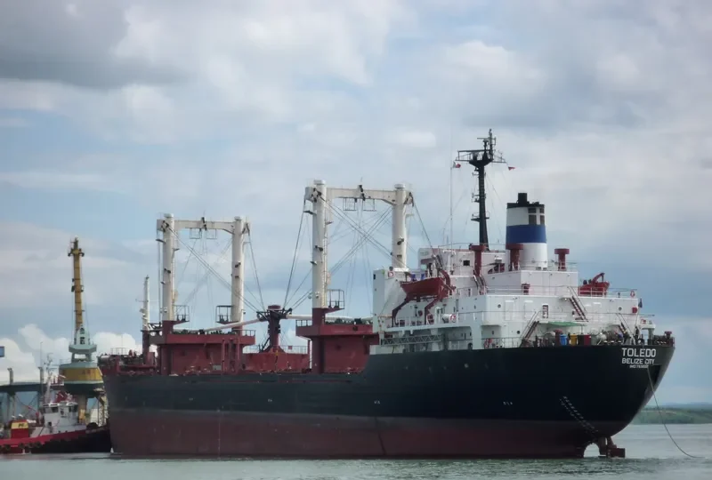 TOLEDO Bulk Carrier IMO 7638557 photo 7