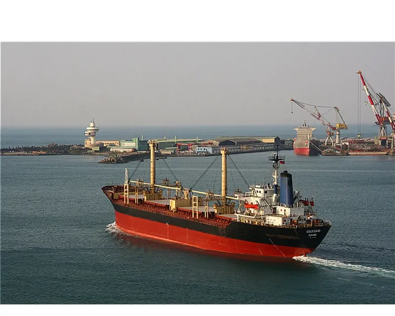 GOLD SAND Bulk Carrier IMO 7638985 photo 3