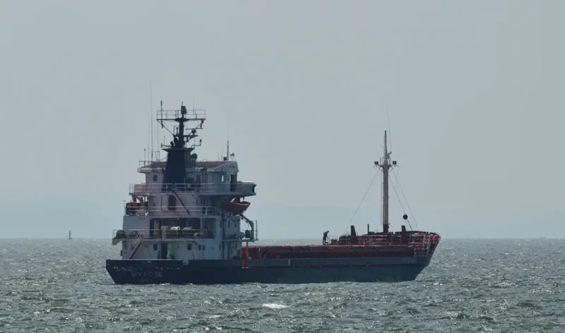 MY ROSE General Cargo IMO 7639642 photo 2