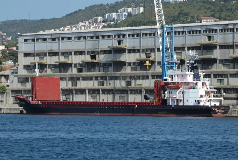 MY ROSE General Cargo IMO 7639642 photo 6