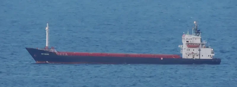 MY ROSE General Cargo IMO 7639642 photo 7