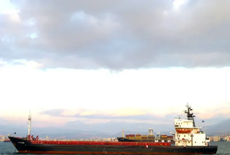 MY ROSE General Cargo IMO 7639642 photo 8