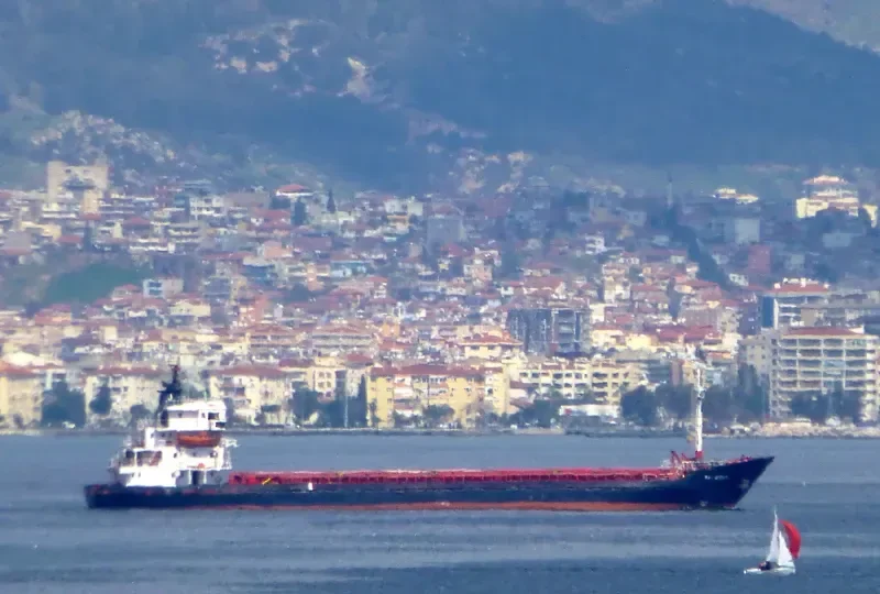 MY ROSE General Cargo IMO 7639642 photo 9