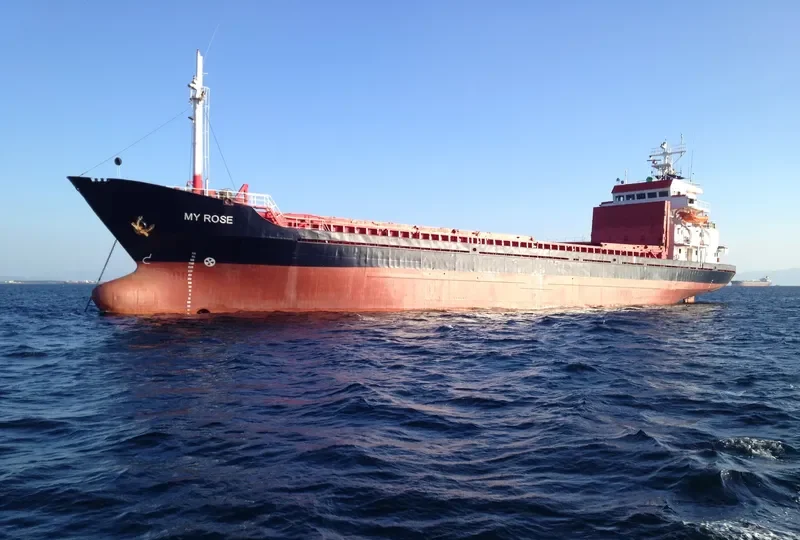 MY ROSE General Cargo IMO 7639642 photo 10