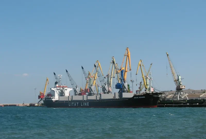 BRAVE RICHARD Bulk Carrier IMO 7639692