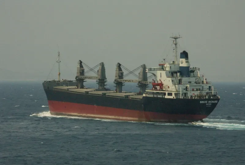 BRAVE RICHARD Bulk Carrier IMO 7639692 photo 2