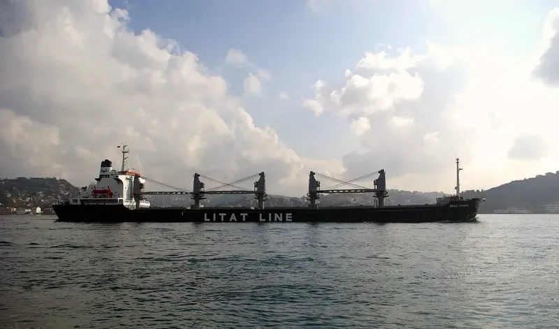 BRAVE RICHARD Bulk Carrier IMO 7639692 photo 4