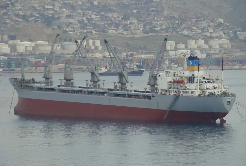 PARAGON Bulk Carrier IMO 7639927 photo 3