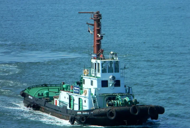 MOAWEN 8 General Cargo IMO 7639941 photo 3