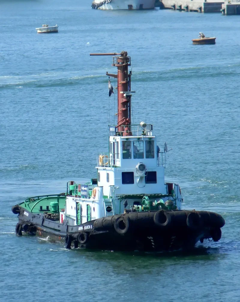 MOAWEN 8 General Cargo IMO 7639941 photo 4