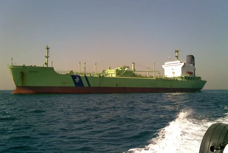 RIM General Cargo IMO 7640201 photo 3