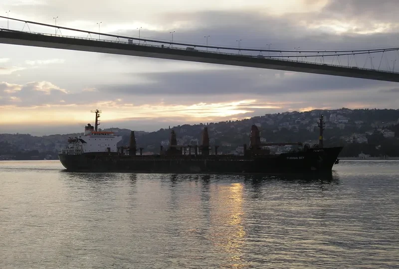 TURHAN BEY Bulk Carrier IMO 7640316 photo 3