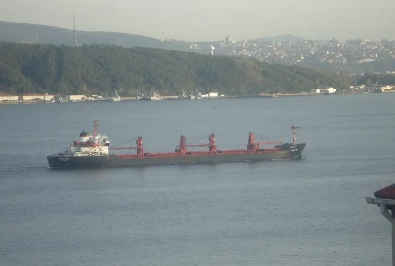 TURHAN BEY Bulk Carrier IMO 7640316 photo 4