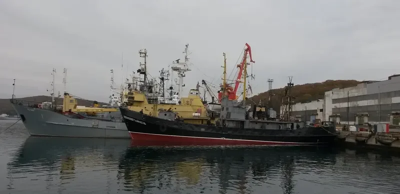 TAYMEN General Cargo IMO 7640885