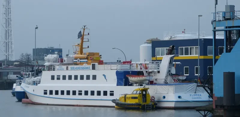 FLIPPER Passenger Ship IMO 7641190 photo 5