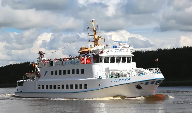 FLIPPER Passenger Ship IMO 7641190 photo 7