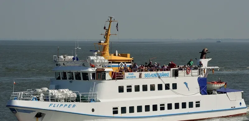 FLIPPER Passenger Ship IMO 7641190 photo 9