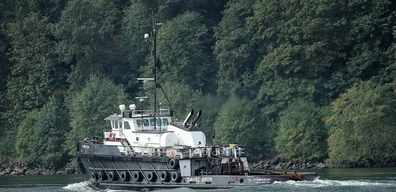 PACIFIC WARRIOR General Cargo IMO 7641384 photo 3