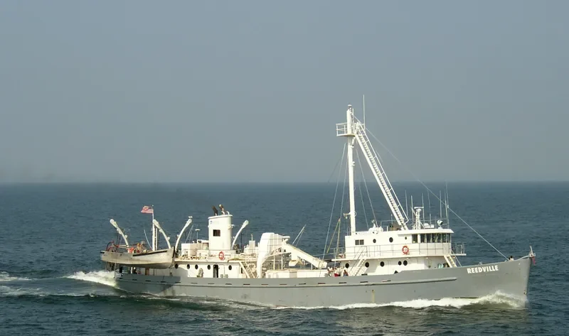 REEDVILLE General Cargo IMO 7641671 photo 2