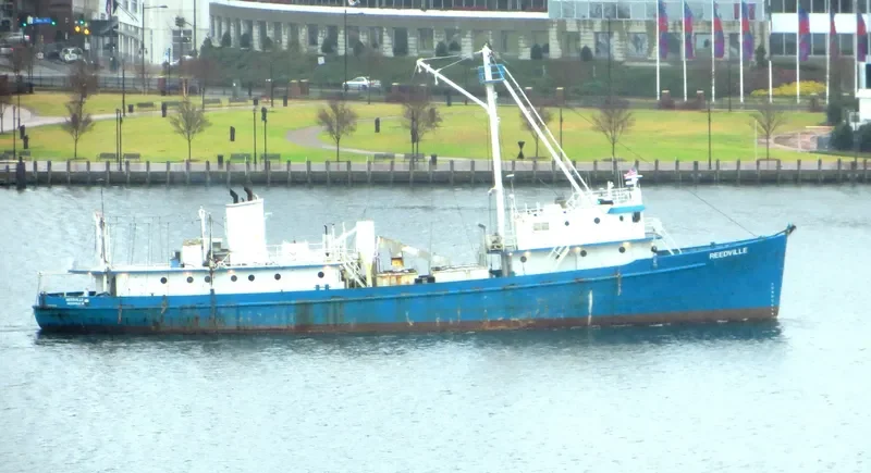 REEDVILLE General Cargo IMO 7641671 photo 3