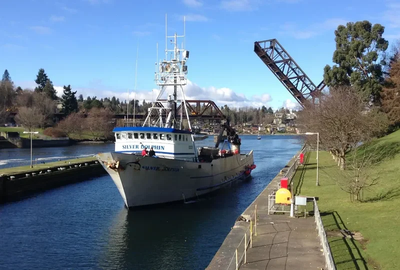 SILVER DOLPHIN Fishing Vessel IMO 7641865