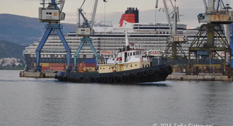 PILION Tug Boat IMO 7641932 photo 2